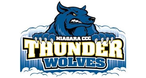 Sponsor Logo: School - Niagara CCC