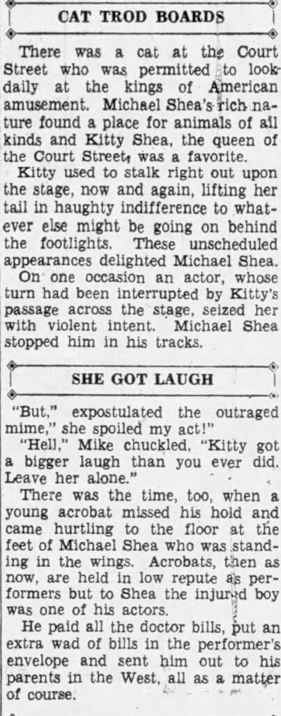 Michael Shea was a friend to performers, both feline and human.